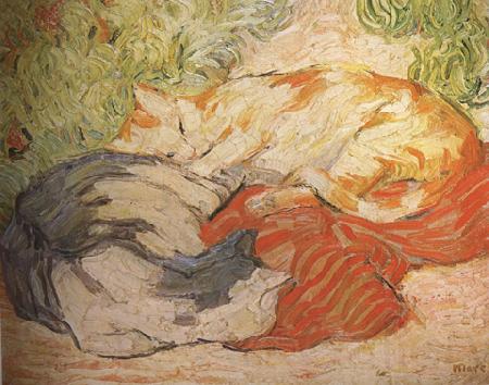 Franz Marc cats (mk34) Germany oil painting art